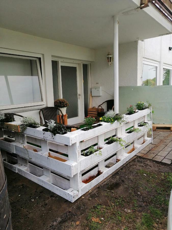 Apartment Froschkoenig Gladenbach Exterior photo